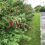 Bosca Neadu Holiday home Dingle