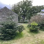 Bosca Neadu * Dingle