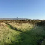 Bosca Neadu * Dingle