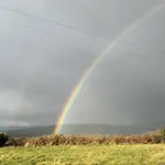 Bosca Neadu * Dingle