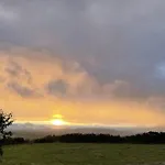 Bosca Neadu Dingle