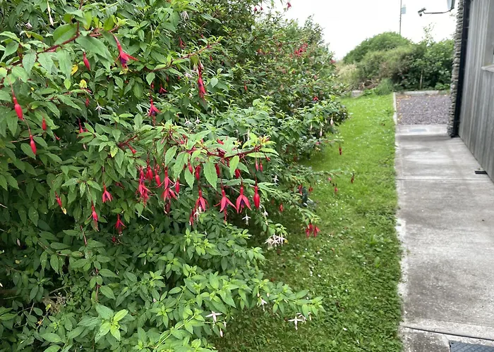 Bosca Neadu Nyaraló Dingle