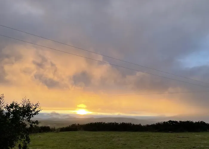 Bosca Neadu Dingle